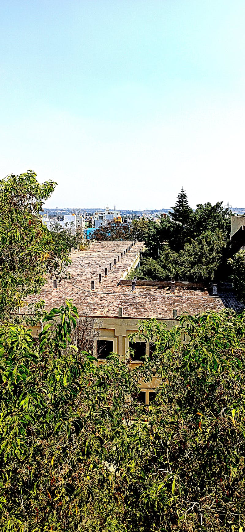 İsme Özel Tasarım